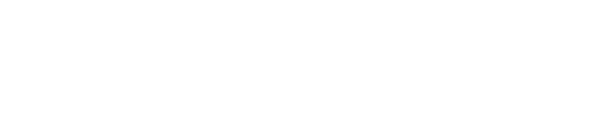 STANCICH.AI
